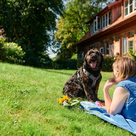 Отель Nordenholzer Hofhotel 3*