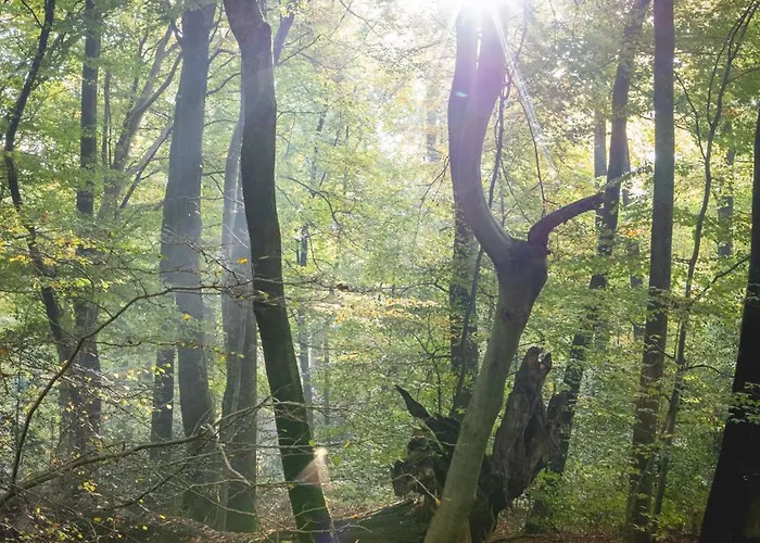 Nordenholzer Hofhotel